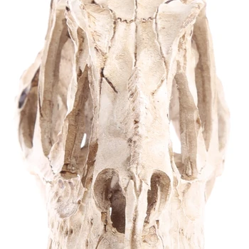 G5AA Поделки из смолы черепа динозавра цератозавра для учебной модели ископаемого скелета